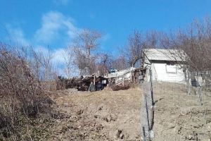 Detalii şocante despre crima din Bihor: Victima a fost ucisă cu un topor, iar cadavrul a fost secţionat şi îngropat în curtea casei