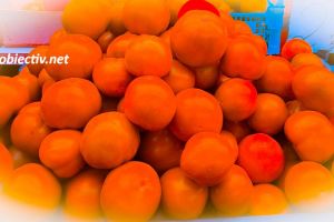 Programul de sprijin pentru tomate continuă şi în 2019