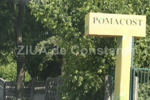 Actionarii Pomacost SA decid aprobarea bugetului de venituri si cheltuieli pe anul 2019, dar si prelungirea mandatelor cenzorilor