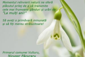 Nicuşor Păcuraru, primar Vulturu: „Să aveţi o primăvară frumoasă?”