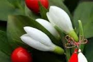 Felicitări de 1 Martie 2019: Ce felicitări puteţi trimite de mărţişor