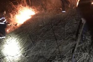 De ziua lor, AU PETRECUT DE-AU STINS! Fără şampanie, DOAR cu SPUMĂ