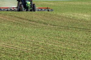 Germanii au pus mâna pe pământurile fertile din România. Nu există bariere