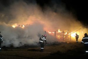 Intervenţii la foc automat ale pompierilor la incendii de vegetaţie uscată, în Timiş