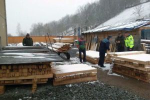 SCUTUL PĂDURII: Acţiune cu efective suplimentare, pentru prevenirea şi combaterea delictelor silvice. Poliţiştii au aplicat 156 de sancţiuni contravenţionale, în valoare de 40.190 lei
