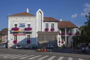 Biblioteca Municipală din Odorheiu Secuiesc în pericol