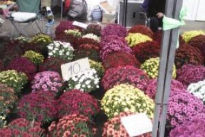 Comertul cu flori si contrabanda cu tigari, in vizorul politistilor baimarenilor