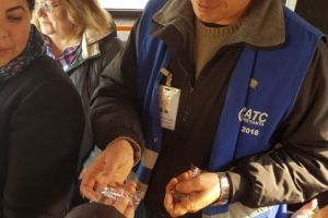Echipele RATC Constanta au oferit martisoare doamenlor si domnisoarelor din autobuze, in prima zi de primavara (galerie foto) 