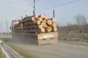 VIDEO. Scandal din cauza traficului greu! Un primar din judeţ pune tunurile pe transportatorii de lemne