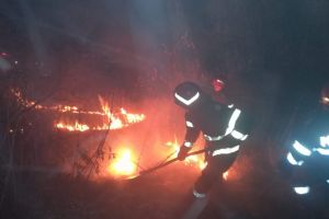 Incendiu in judetul Tulcea. Interventia este ingreunata din cauza suprafetei terenului (galerie foto) 