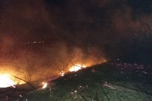 Interventie a pompierilor pentru stingerea unui incendiu in judetul Tulcea. Ce arde (galerie foto) 
