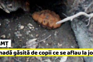 NEAMȚ: Grenadă găsită de un grup de copii ce se aflau la joacă (FOTO)