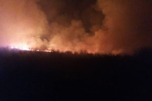 Zeci de hectare de vegetatie, vita de vie si pomi fructiferi, afectate de incendiile de la Cochirleni, judetul Constanta 