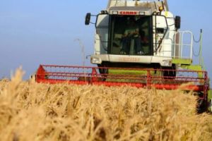 Străinii pun stăpânire pe România! Ce metode folosesc bogaţii din Germania