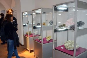 ”Zestrea Minerală a Maramureşului”: Un ”buchet” de flori de mină la Muzeul Oraşului Oradea (FOTO)