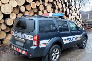 Au vândut „la negru” peste 1.000 metri cubi de lemne. Două firme din Bihor au rămas fără încasări de 210.000 lei
