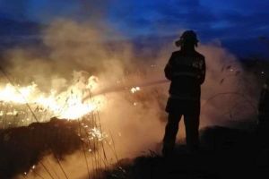 FOTO: INCENDIU de vegetaţie uscată la Crăciunelu de Jos. Pompierii intervin cu o autospecială