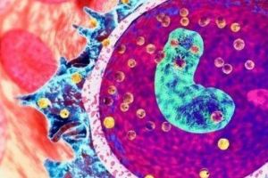 Descoperire epocală. Aluniţa minune care salvează vieţile a milioane de oameni