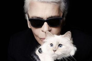 Cine are grijă de Choupette, pisica moştenitoare a lui Karl Lagerfeld