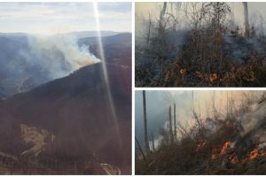 Zeci de pompieri se luptă de ore întregi cu un puternic incendiu de vegetaţie, în Timiş