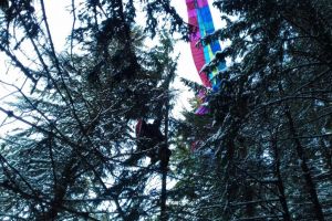 VIDEO Parapantist blocat la o înălţime de zece metri, într-un copac