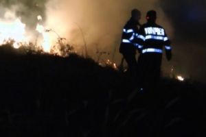 Incendiu în municipiul Satu Mare, pe digul Someşului. Au intervenit pompierii