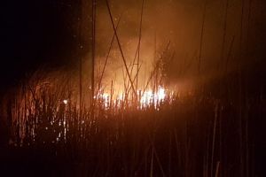 Incendiu in zona Vararie Balta din municipiul Tulcea. Pompierii ISU Delta, intervin penrtu stingerea flacarilor (galerie foto)