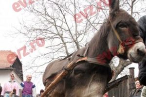 Cu iarna în coşciug pe uliţa din Rimetea. Un obicei vechi de 300 de ani