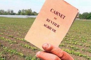 Rentierii din judeţ, aşteptaţi la vizarea carnetelor!