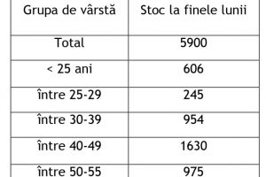 4,34%, rata şomajului înregistrat în evidenţele AJOFM GORJ