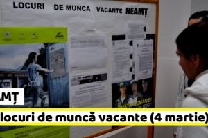 NEAMȚ: AJOFM: 795 locuri de muncă vacante la data de 4 martie