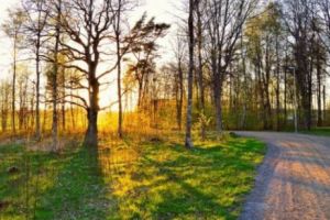 ANM, anunţ important la început de săptămână. Temperaturi de vară în toată ţara