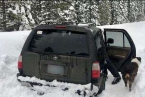 A rămas blocat în troiene, timp de cinci zile, alături de câinele său. Cum a reuşit să supravieţuiască bărbatul