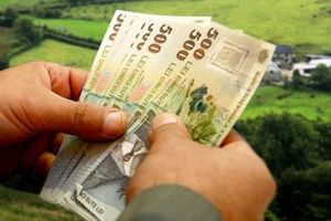 Fermierii vor depune la APIA o singură Cerere de Plată