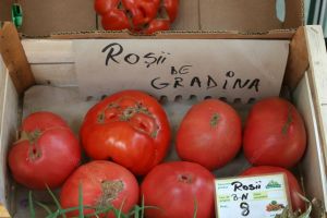 Legumicultorii se pot înscrie pentru programul de tomate 2019