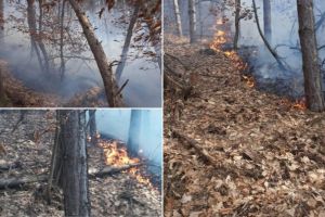 FOTO / VIDEO UPDATE Val de INCENDII de vegetaţie uscată în judeţ. Pompierii intervin acum la Craiva