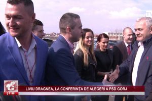 LIVIU DRAGNEA, LA CONFERINȚA DE ALEGERI A PSD GORJ