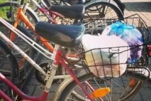 Angajaţii Primariei Pecica merg la muncă cu bicicleta