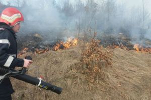 ALERTĂ la SEBIȘ: Case în PERICOL de a lua FOC. Pompierii se LUPTĂ cu FLĂCĂRILE