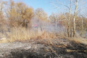 Alerta de incendiu in judetul Tulcea. Ce a luat foc la aceasta ora (galerie foto) 