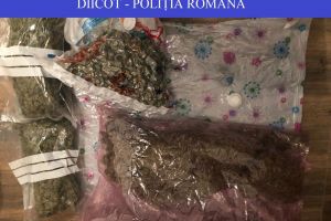 Tânăr din Bistriţa-Năsăud, arestat pentru deţinere şi trafic de droguri