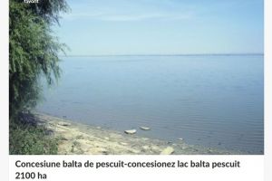 Lacul Brateş, concesionat pe OLX cu 5,5 milioane de euro