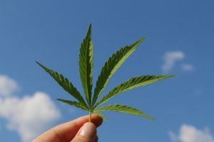 TSD vrea dezbatere naţională pentru legalizarea drogurilor uşoare, a prostituţiei şi recunoaşterea drepturilor persoanelor LGBT