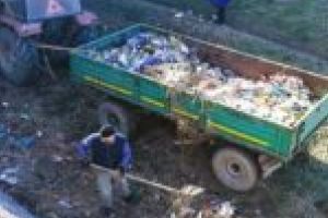 Civilizaţie la remorcă! Apele Banat au adunat tone de deşeuri aruncate la Lugoj, pe malurile râului Timiş