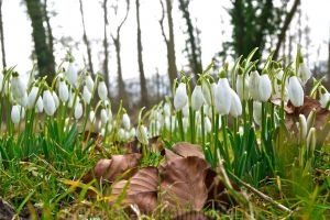METEO:  Temperaturi maxime cu mult peste cele specifice perioadei