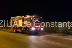 Incendiu in Insula Mica a Brailei. Zona greu accesibila. Pompierii  intervin in forta pentru stingerea flacarilor 
