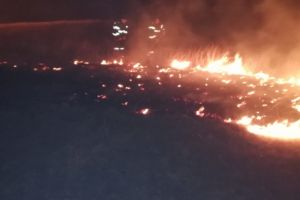 Pompierii, in alerta! Hectare intregi de vegetatie, in flacari (galerie foto)