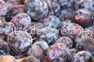 Prunele, sursa naturala de vitamine 