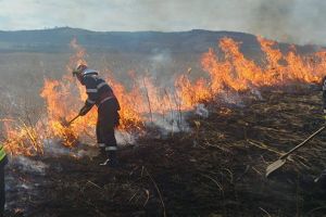 APIA Hunedoara taie subvenţiile pentru fermierii care îşi curăţă terenurile prin incendiere