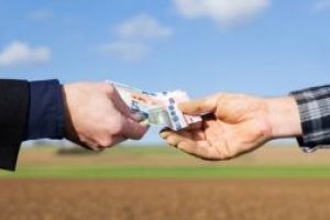 APIA primeşte Cereri de de sprijin pentru accesarea schemei de ajutor de stat –  Servicii de silvomediu, servicii climatice şi conservarea pădurilor